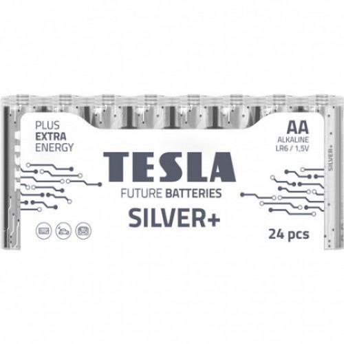 BATTERIES TESLA  AA SILVER+